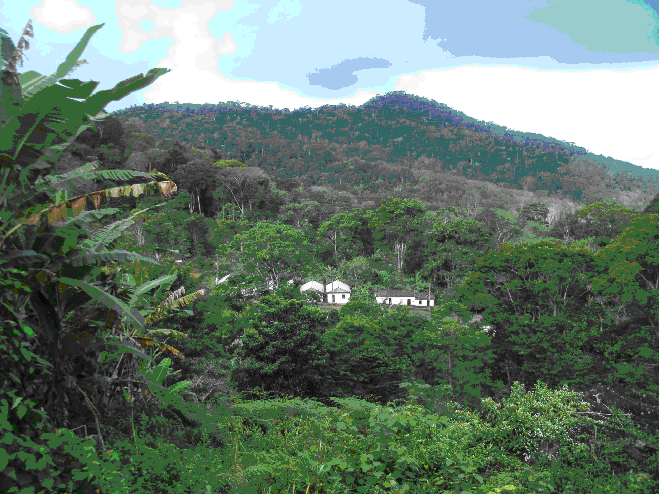 Área retomada Tupinambá. Foto: Cimi Regional Leste - Equipe Extremo Sul