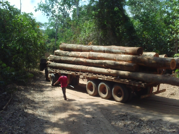 Retirada ilegal de madeira de área do território Mỹky