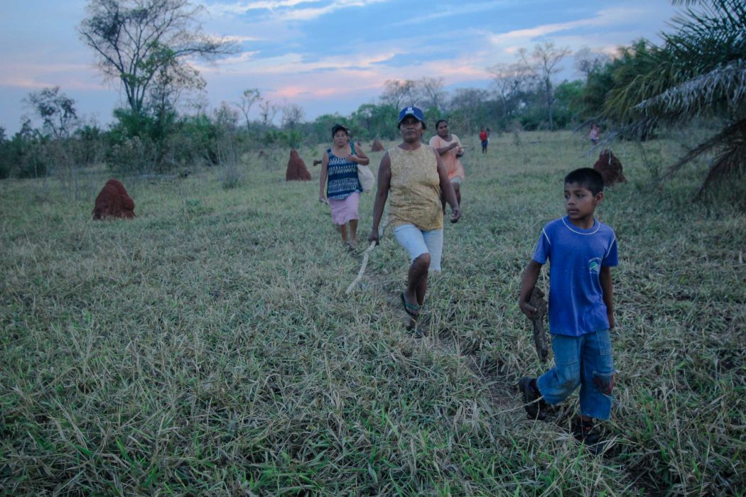 Indígenas Terena caminham em uma das retomadas no interior da TI Buriti, em 2013. Foto: Ruy Sposati/Cimi