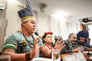 Paulo Tupiniquim fala na audiência pública do Senado. Foto: MNI