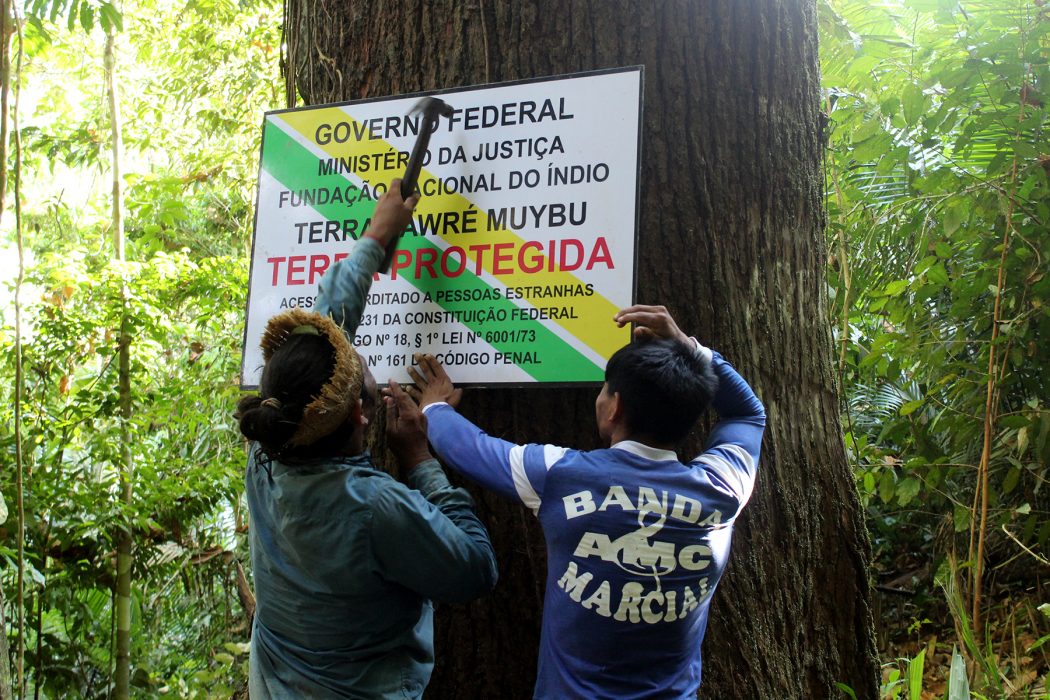 Munduruku colocaram placas da terra indígena em pontos estratégicos de seus limites. Foto: Bárbara Dias/Cimi Norte 2