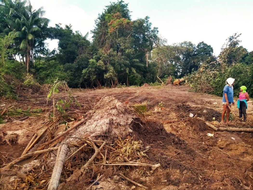 Em carta, povo Akroá Gamella do Piauí denuncia crime ambiental em seu  território