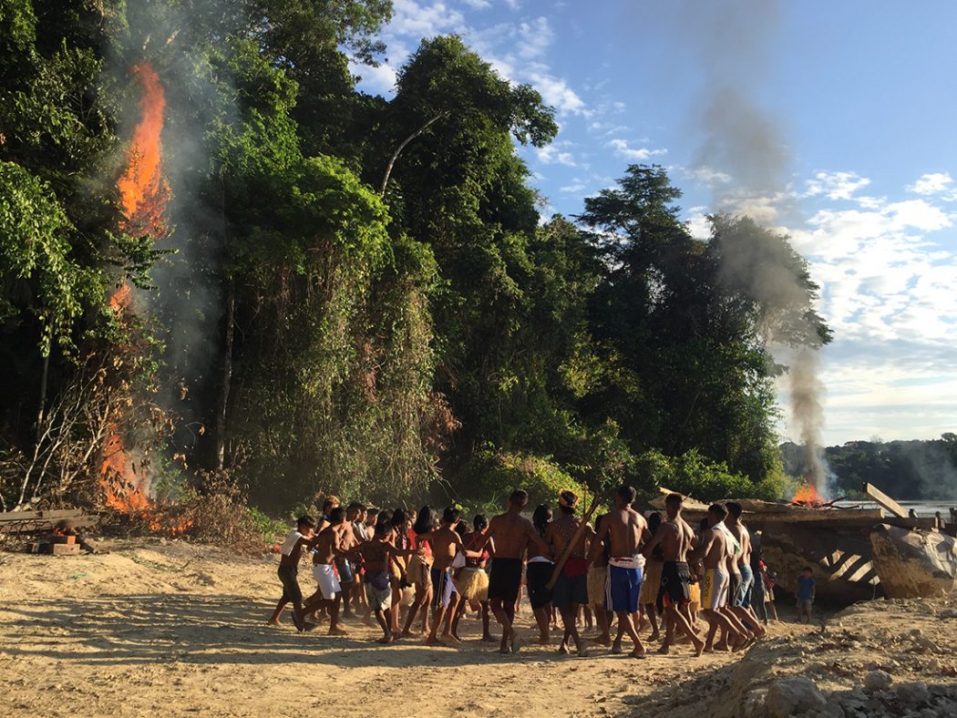 Povo Munduruku expulsa madeireiros de seu território durante autodemarcação  | Cimi