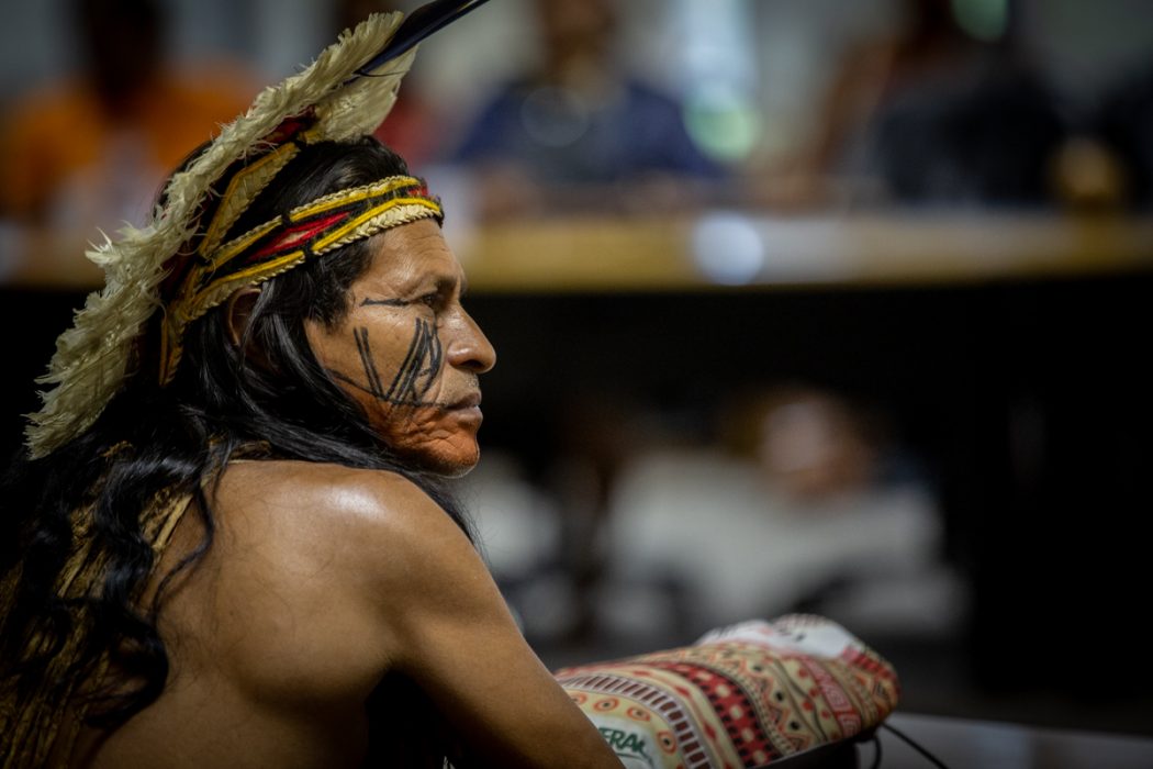 Audiência pública sobre a defesa dos direitos indígenas na OAB. Foto: Tiago Miotto/Cimi