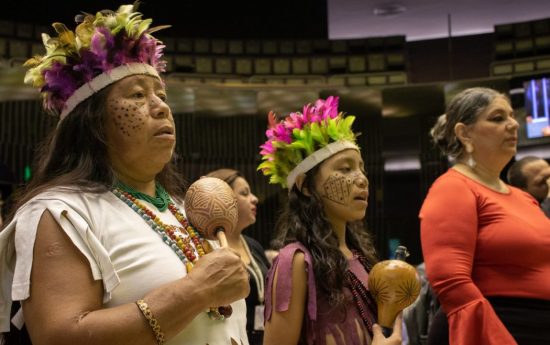 Indigenas da região Sul participam de atividades na Câmara dos Deputados. Foto: Adi Spezia/Cimi