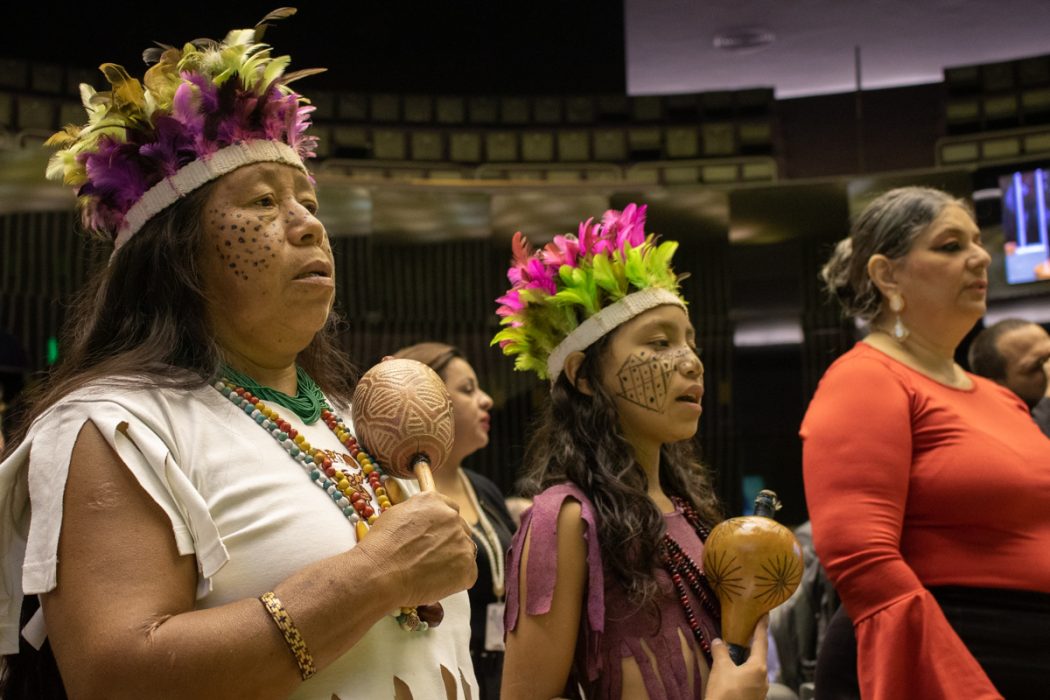 Indígenas da região Sul participam de atividades na Câmara dos Deputados. Foto: Adi Spezia/Cimi