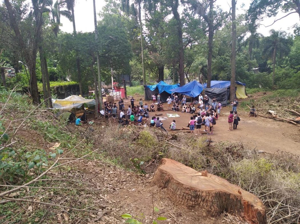 Mbya Guarani ocuparam área de Mata Atlântica onde construtora derrubou árvores e pretende erguer condomínio. Foto: Comunidade da Terra Indígena Jaraguá