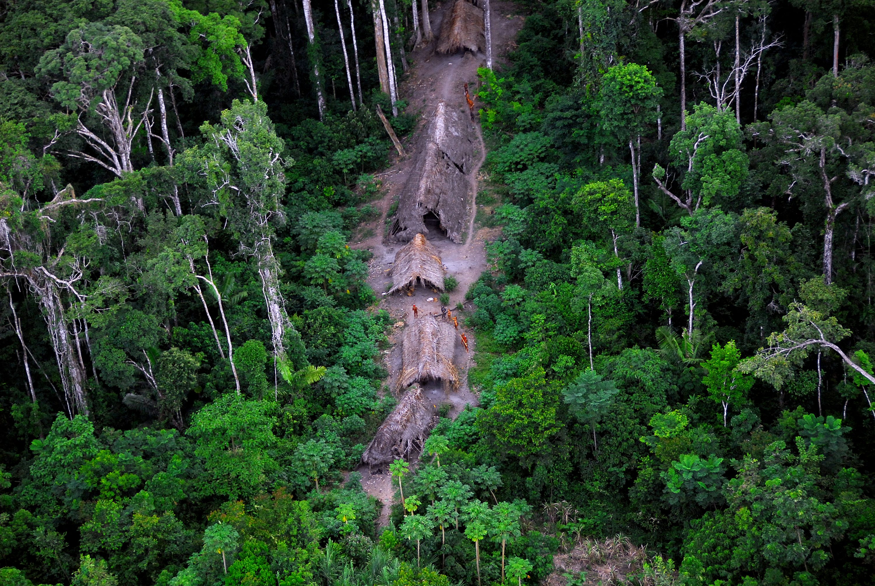Povos isolados: a necessidade de proteção em meio às ameaças de extermínio na Amazônia e a aplicação da UNDRIP