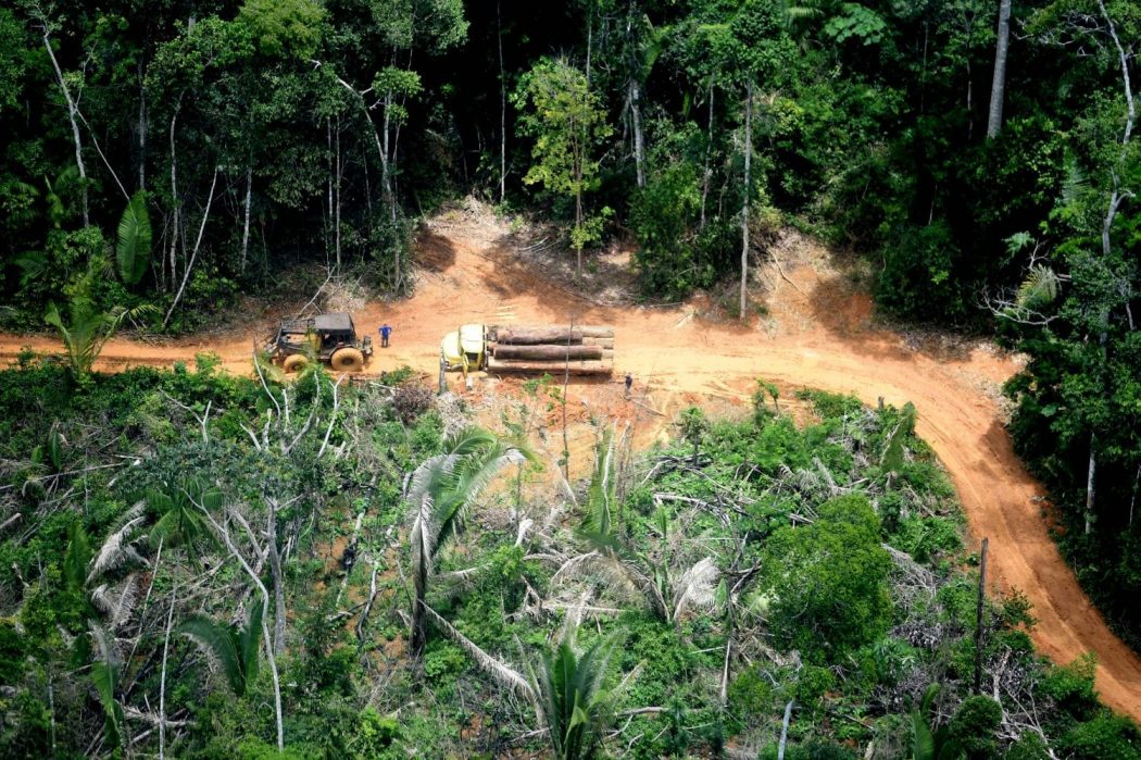 Caminhão e trator flagrados dentro da TI Karipuna durante sobrevoo realizado em fevereiro de 2019. Foto: Chico Batata/Greenpeace