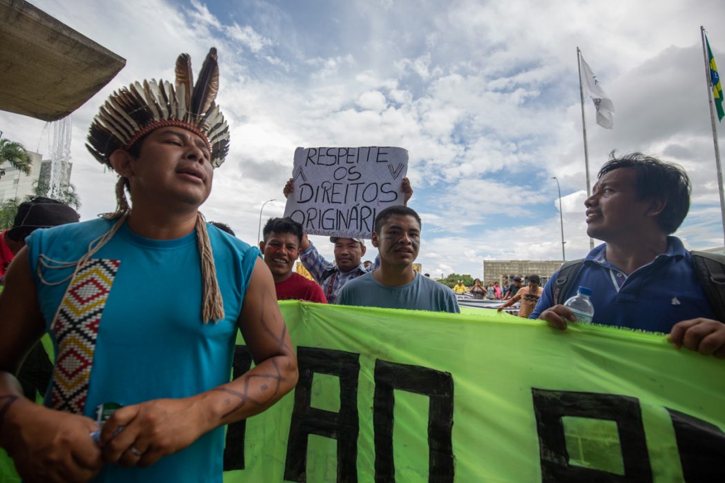 Manifestação de povos indígenas da região sul em Brasília. Foto: Tiago Miotto/Cimi