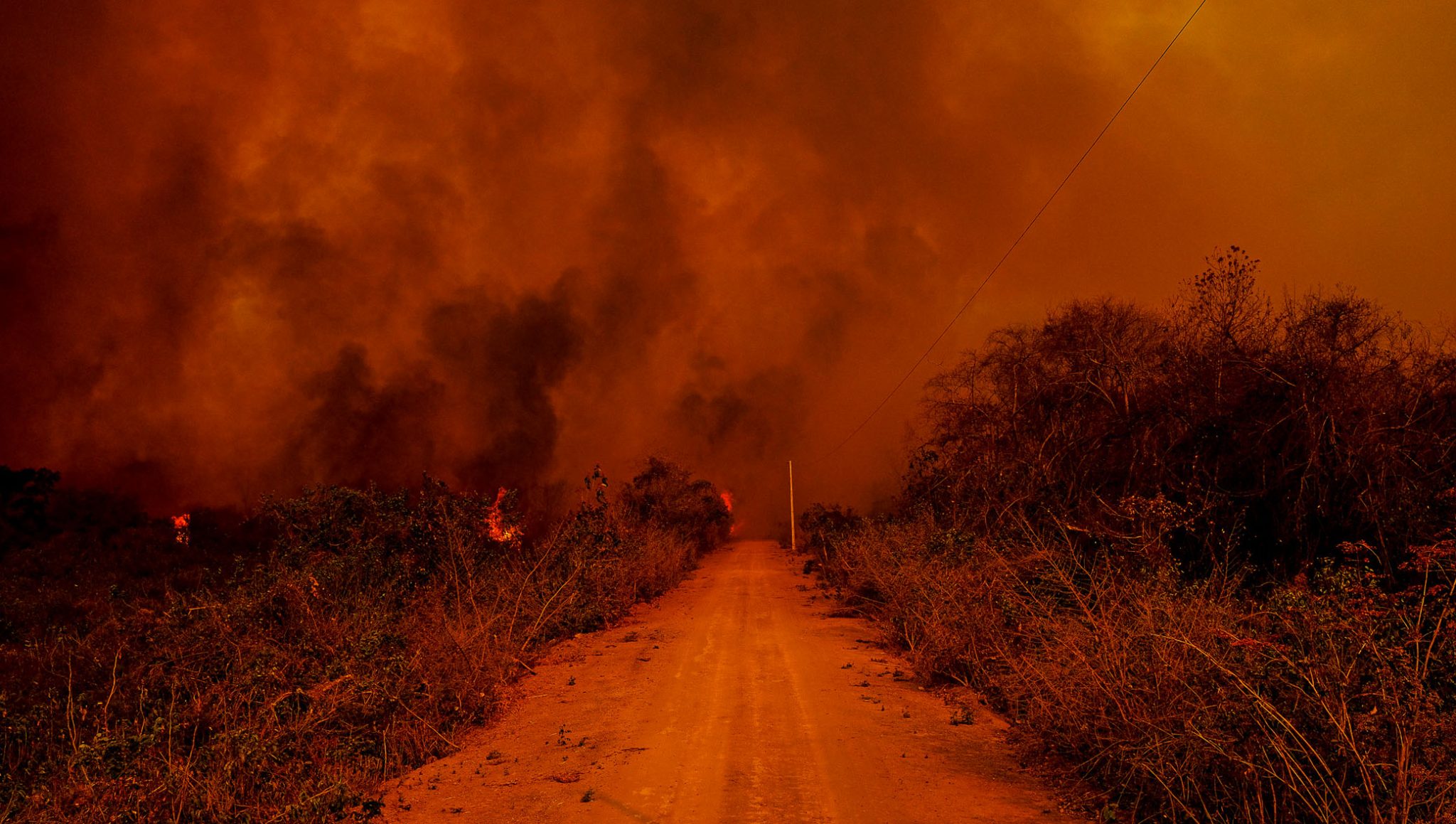 Perícias realizadas pelo Centro Integrado Multiagências de Coordenação Operacional (Ciman-MT) apontaram ação humana como causa da origem das queimadas no Pantanal. Foto: Mayke Toscano/Secom-MT