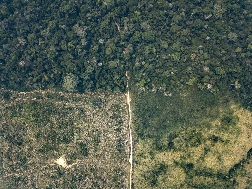 Desmatamento na Terra Indígena Karipuna (RO), alvo de grilagem e loteamentos ilegais. Foto: Rogério Assis/Greenpeace