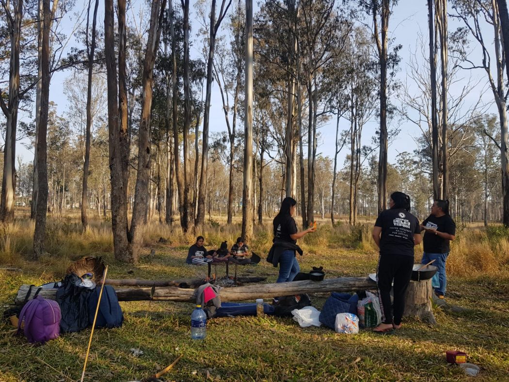 Indígenas de cinco povos retomaram área na Floresta Estadual Metropolitana, em Piraquara (PR), no dia 9 de agosto. Foto: Marcelo Krahô