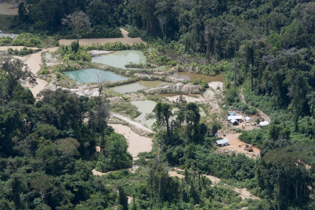 Devastação do garimpo ilegal na TI Munduruku, registrada em 2020. Foto: Marcos Amend/Greenpeace