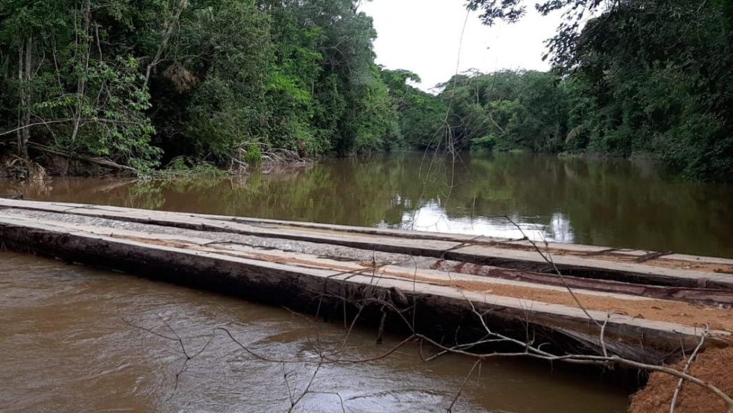 Indígenas denunciam novos casos de roubo de madeira e grilagem de terra na TI Karipuna, em Rondônia