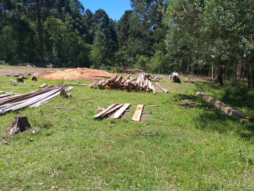 No dia 3 de fevereiro, os Guarani Mbya localizaram árvores cortadas e madeira serrada em forma de tábuas, caibros, barrotes e palanques. Foto: Roberto Liebgott/Cimi Regional Sul