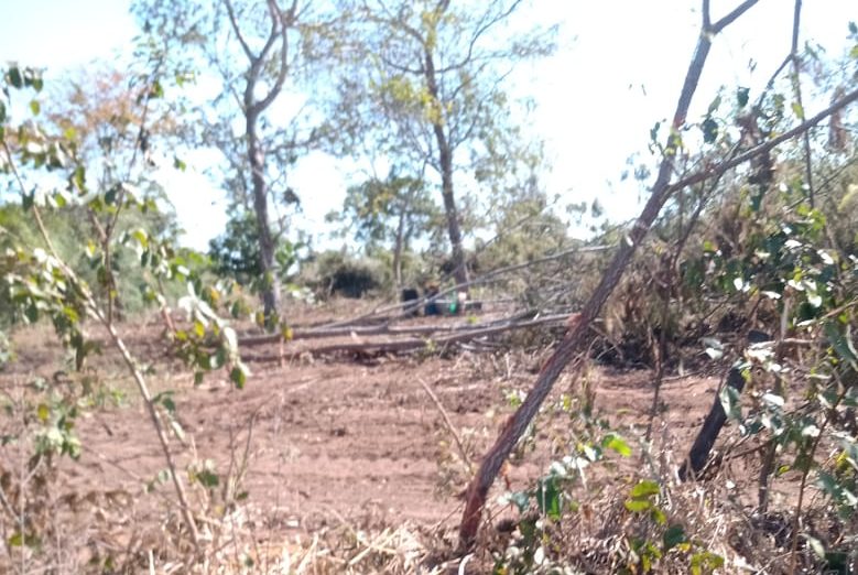 Área desmatada na aldeia Osbis, do povo Chiquitano, em Mato Grosso. Foto: Povo Chiquitano