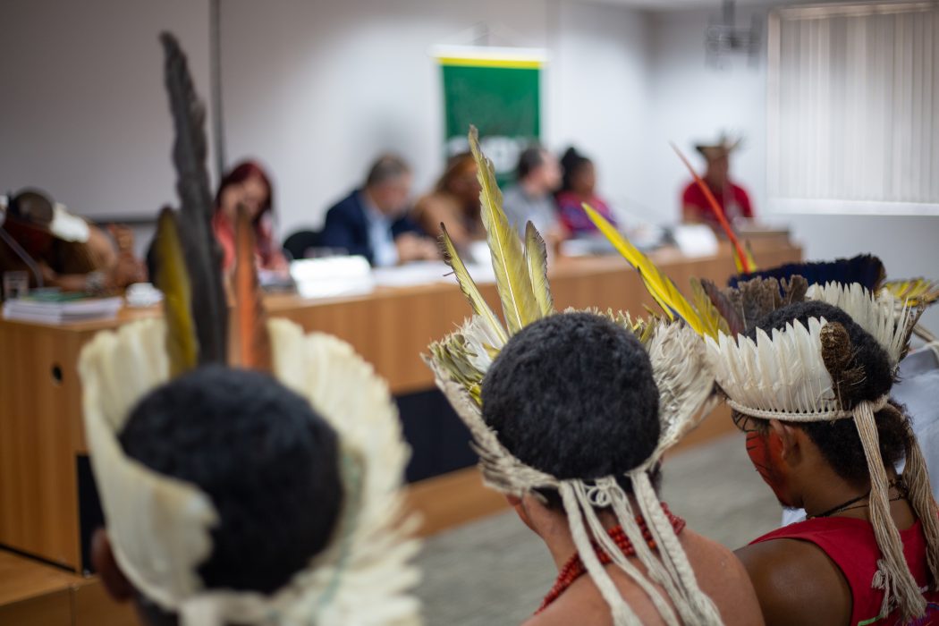 Lideranças indígenas Pataxó e de povos do Maranhão, de Minas Gerais e de Roraima denunciaram violência nos territórios durante reunião com CNDH, em Brasília. Foto: Tiago Miotto/Cimi