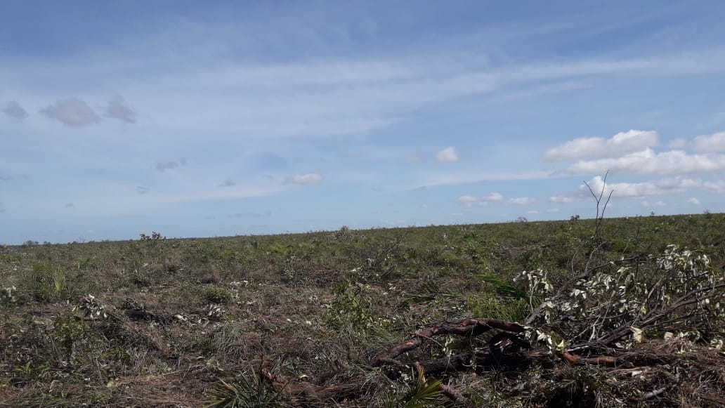 No Piauí, povo Akroá Gamella denuncia aumento de desmatamento em seu território