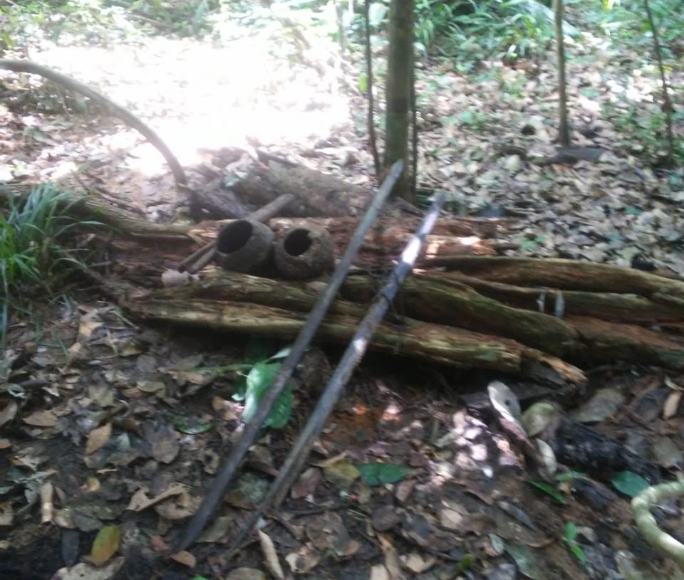 Sepultura tradicional de Awá-Guajá em isolamento voluntário, encontrada na mata da TI Arariboia em janeiro de 2023 por Guardiões da Floresta. Foto: Guardiões da Floresta da TI Arariboia