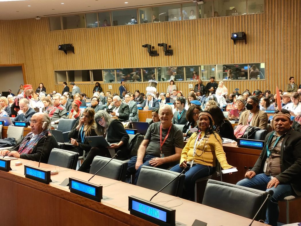22ª sessão do Fórum Permanente das Nações Unidas sobre Questões Indígenas (UNPFII). Foto: Rede Eclesial Pan-Amazônica (REPAM)