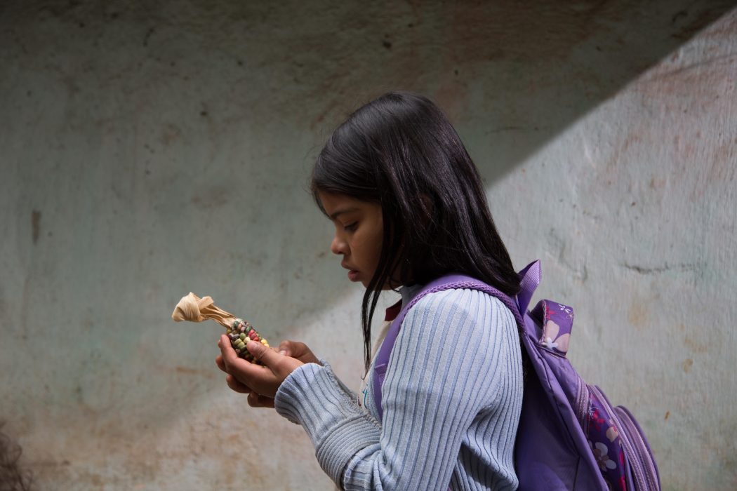 Filme Para’í retrata relação dos Guarani com seu território e seus alimentos tradicionais. Foto: Para’í/dvulgação