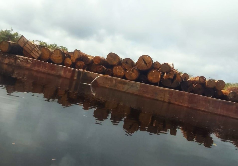 Balsa com toras de madeira no rio Urupadí. Foto: Povo Sateré-Mawé