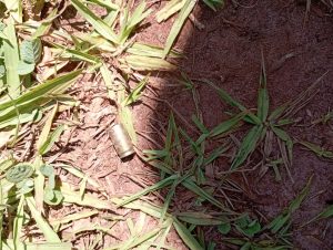 Missão de Direitos Humanos visita terras Avá-Guarani e Guarani e Kaiowá convertidas em “zonas de guerra” no oeste do PR e MS