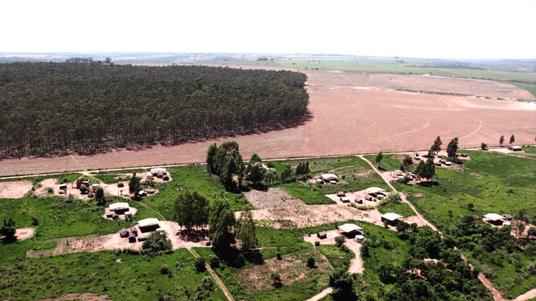Pyelito Kue: retomada Guarani e Kaiowá sobrevive a madrugada de ataques após criação de grupo para tratar de demarcações