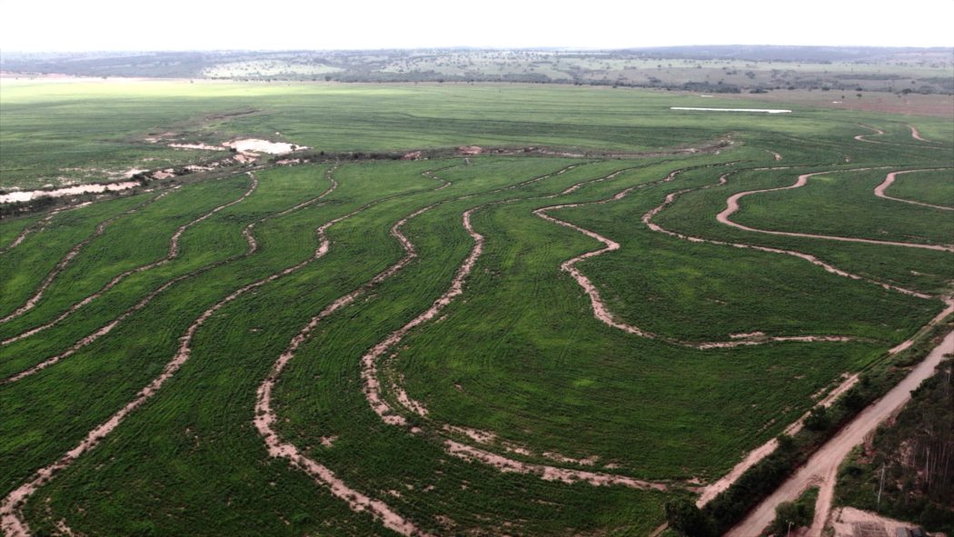 Fazendas que incidem sobre a Terra Indígena Iguatemipegua I. Foto: Ruy Sposati/Cimi