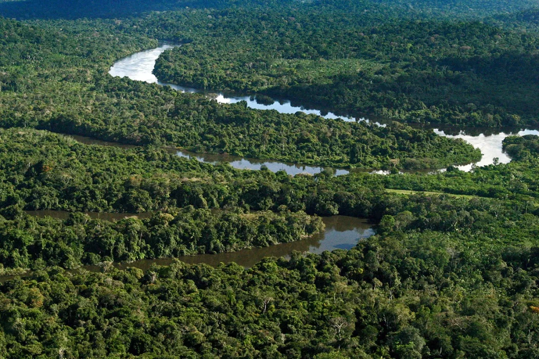 A Amazônia é a maior floresta tropical do mundo. Foto: Tamara Saré | Agência Pará