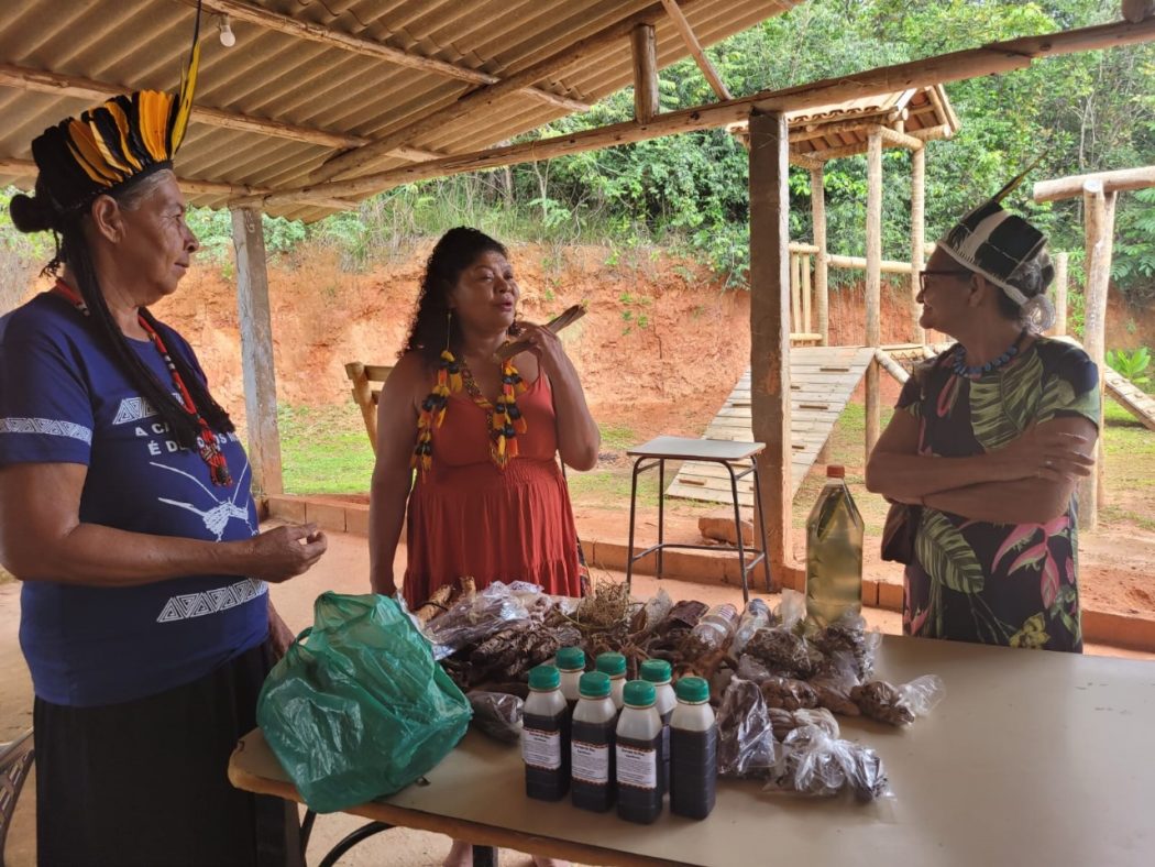 Mais de 50 mulheres de sete povos indígenas participaram do encontro na aldeia Capão do Zezinho, território do povo Kaxixó, em Martinho Campos (MG). Foto: Coletivo de Mulheres do Cimi regional Leste
