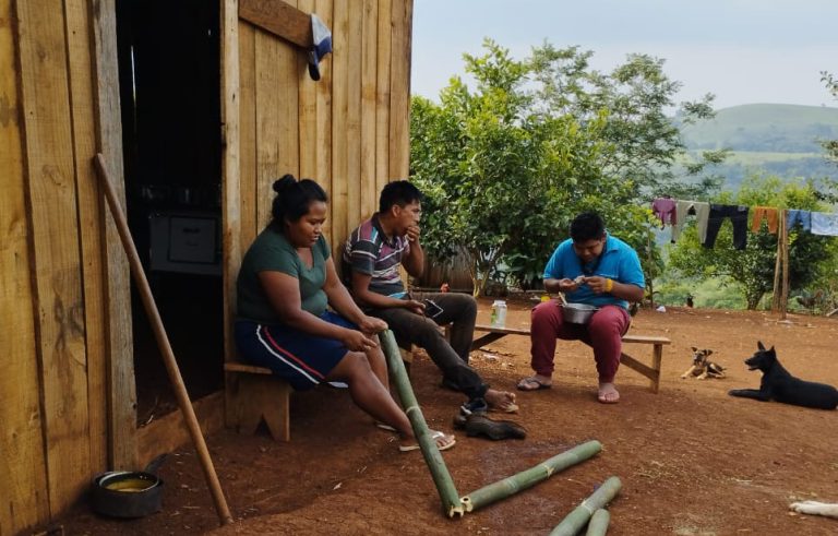 Povo Kaingang obtém nova vitória no STF contra anulação da Terra Indígena Toldo Boa Vista, no Paraná