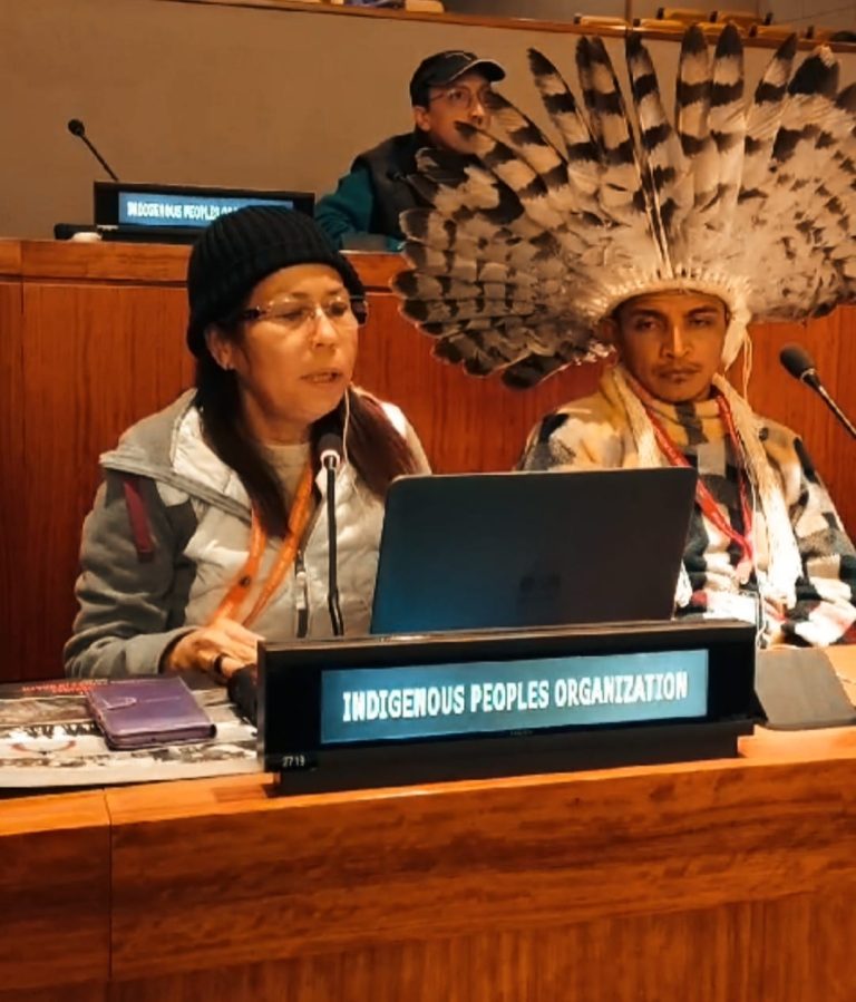 Cimi denuncia na ONU violações do Estado brasileiro aos direitos das mulheres e crianças indígenas