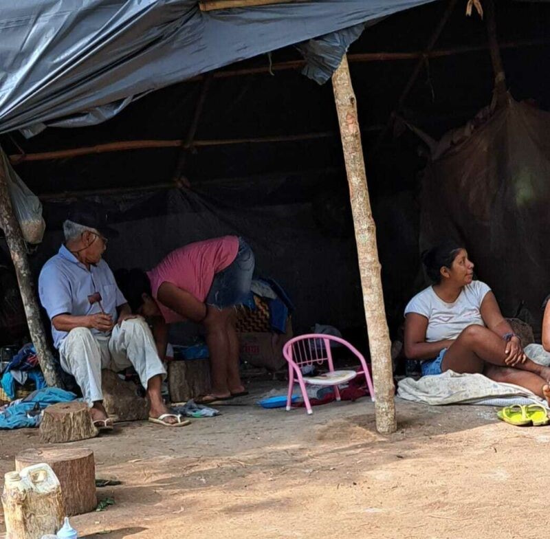 As famílias que vivem na Tekoa Nhe'engatu, em Viamão, denunciam a falta de assistência e pedem ao MPF que atue rigorosamente. Foto: Cimi Regional Sul.