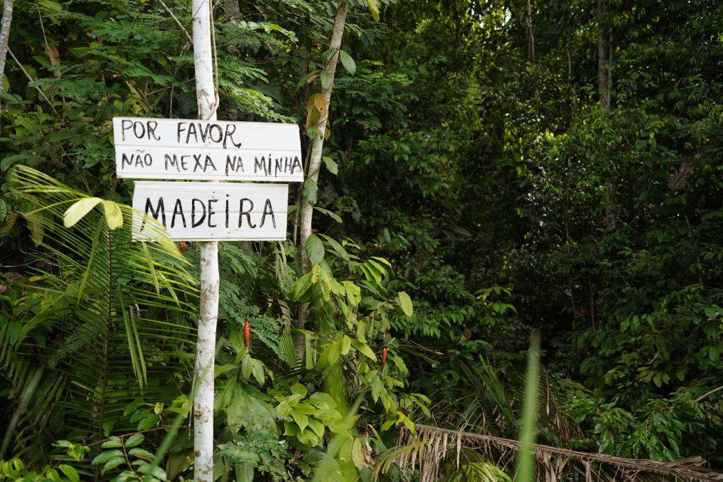 Placa de invasor na Terra Indígena Karipuna, onde há presença de indígenas isolados. Foto: Maiara Dourado/Cimi
