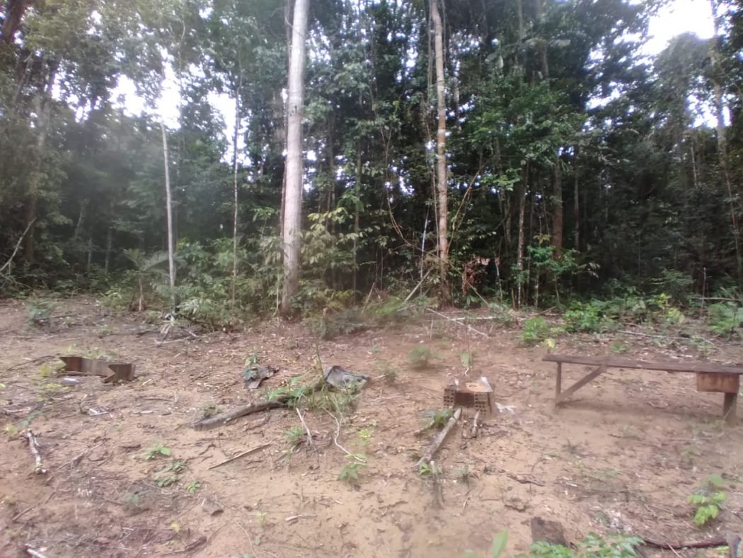 Clareira aberta para montar acampamento perto da área de castanhais. Foto: Pedro da Silva