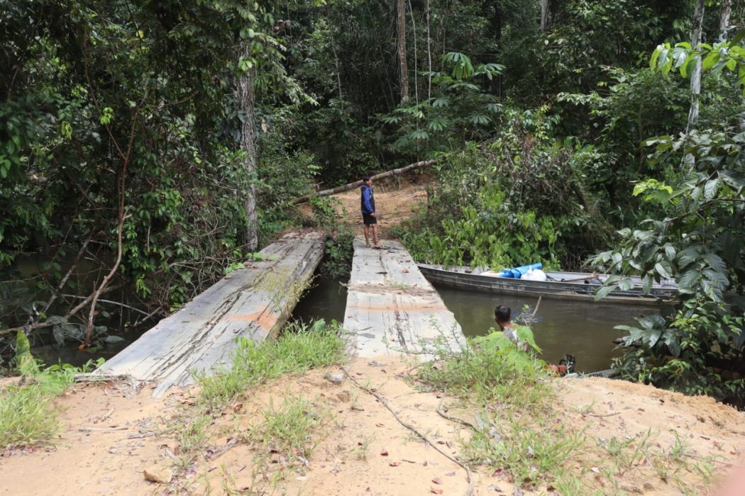 Ponte construída pelos invasores para escoamento sobre o igarapé Cowatazinho região do castanhal Limoeiro. Foto: Pedro da Silva