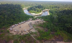 Organizações do Amazonas manifestam extrema preocupação com impunidade de crimes ambientais e direitos humanos no estado