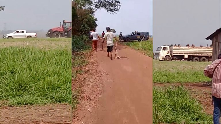 Oeste do Paraná: bando usa caminhão e tratores para atacar retomada Avá-Guarani a tiros, agrotóxicos e pauladas