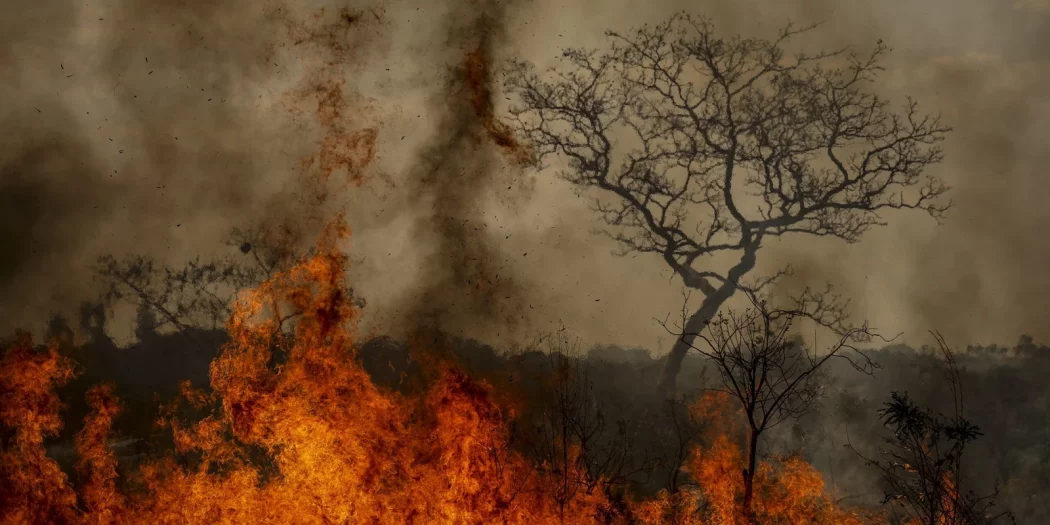 Incêndio florestal, registros de 2024. Foto: Marcelo Camargo | Agência Brasil