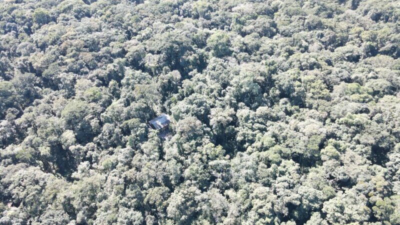 Aldeia Ka’aguy Mirim Porã, TI Tarumã, localiza-se no município de Araquari, litoral norte de Santa Catarina. Foto: Comunidade Guarani