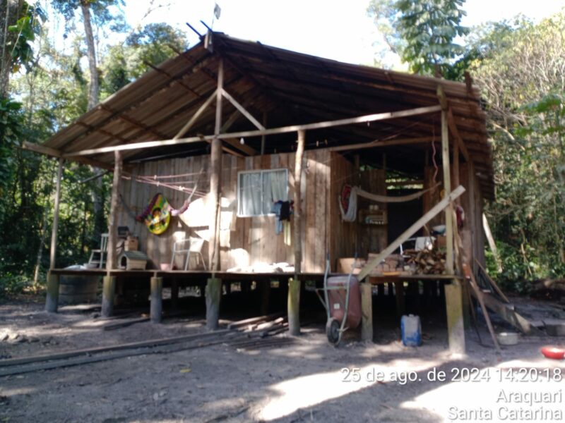 Moradia indígena na Aldeia Ka’aguy Mirim Porã, TI Tarumã, em Araquari, litoral norte de Santa Catarina. Foto: Comunidade Guarani