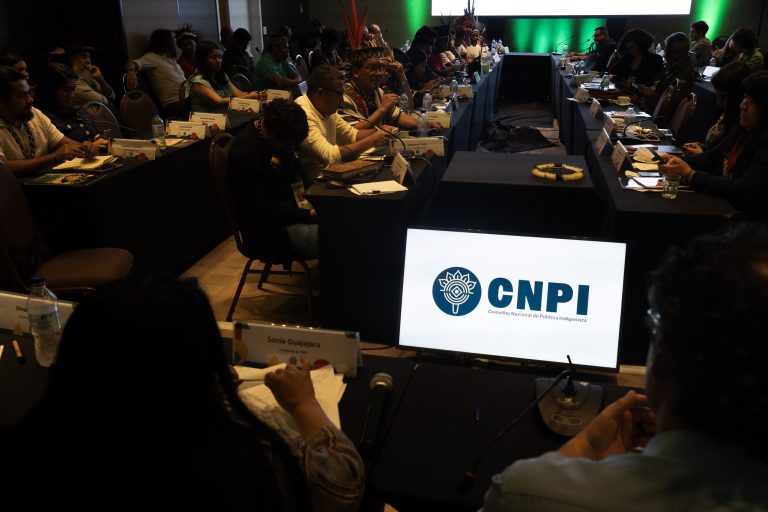 Recomendações ao STF e plano de trabalho para 2025 marcam a 3ª Reunião do CNPI