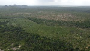 Lideranças indígenas denunciam a expansão do gado na TI Kanela-Memortumré, no Maranhão