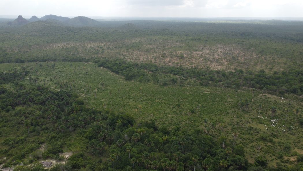 Os indígenas Canela Memortumré relatam sofrer ameaças de fazendeiros e que estes andam armados com espingardas. Foto: Fábio Reis/Cimi Regional Maranhão 