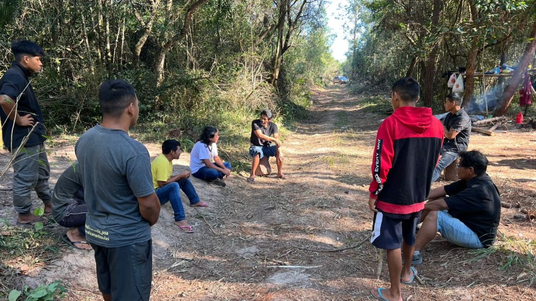 Retomada Mbya Guarani, próxima à Tekoa Pindó Poty, numa área que foi cercada e hoje serve à exploração madeireira de oportunistas. Foto: Comunidade Mbya Guarani