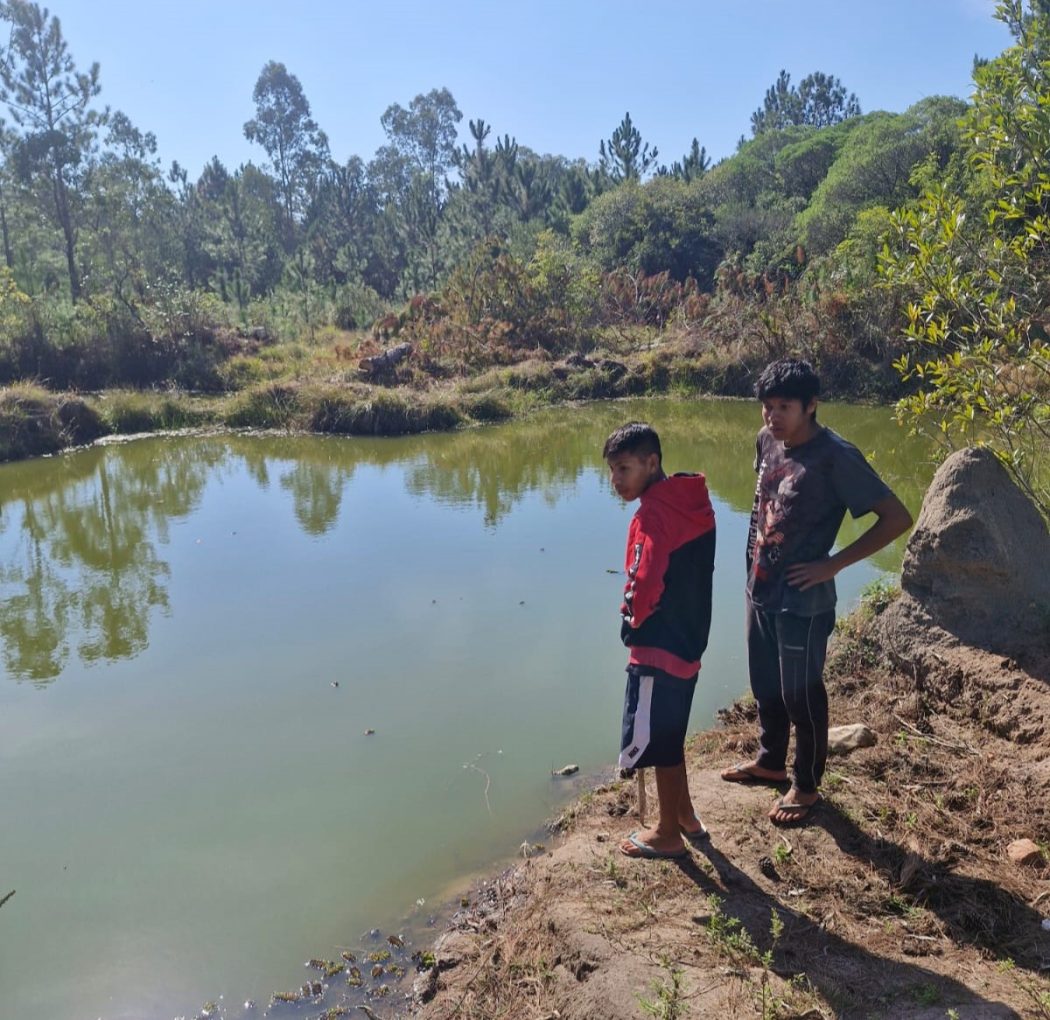 Retomada Mbya Guarani, próxima à Tekoa Pindó Poty, numa área que foi cercada e hoje serve à exploração madeireira de oportunistas. Foto: Comunidade Mbya Guarani
