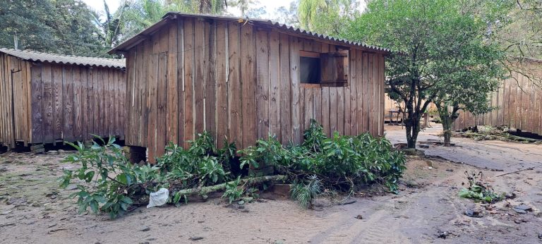 Memória do caos: o Rio Grande do Sul depois da maior catástrofe ambiental
