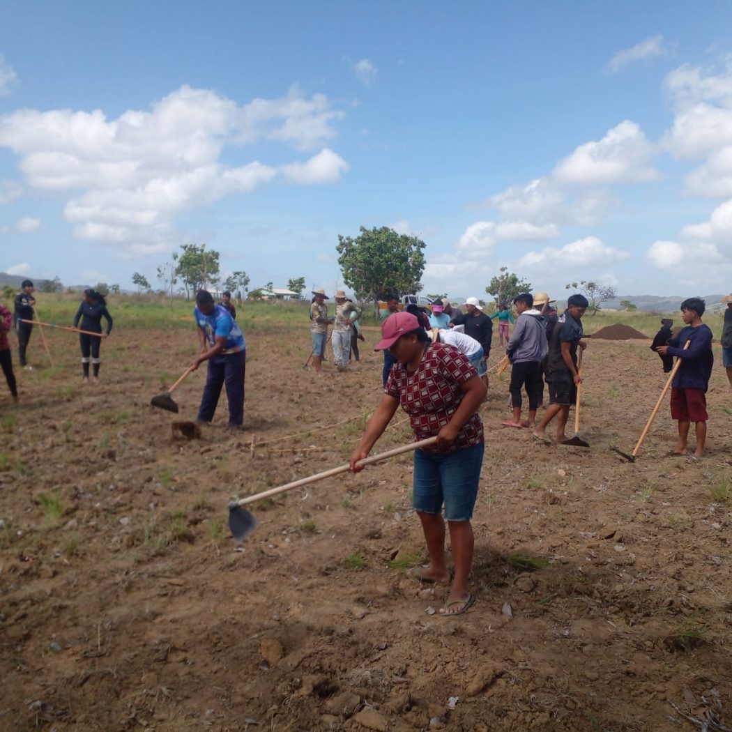 Oficina de Agroecologia Mandala construída no Projeto Terra Mãe Maturuka (RR). Foto: Pe. James Murimi Njimia